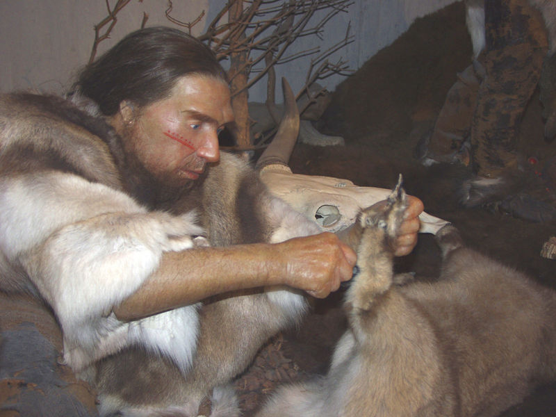 Reconstruction of a Neanderthal man