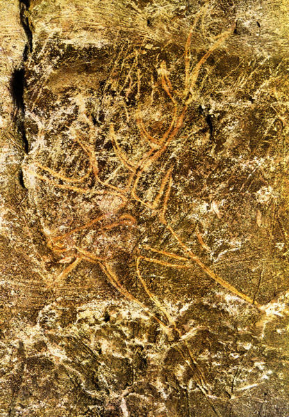 Painting of a deer found in the Lascaux cave