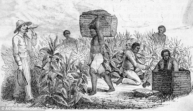 An illustration of the negative impact of colonisation, in this case slavery