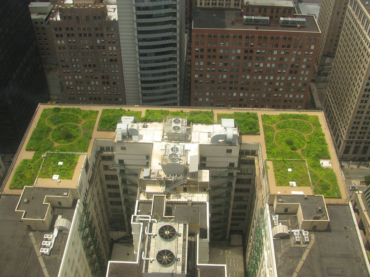 Toiture végétale qui contribue à rafraîchir et purifier l’air de la ville (Chicago, États-Unis)