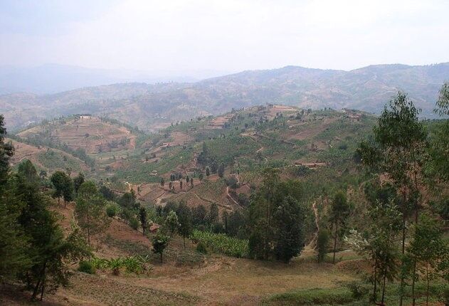 Le Rwanda est surnommé le pays des mille collines