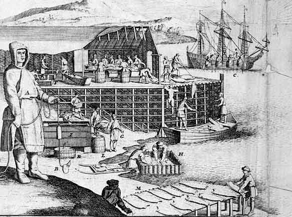 Campement de pêche à la morue