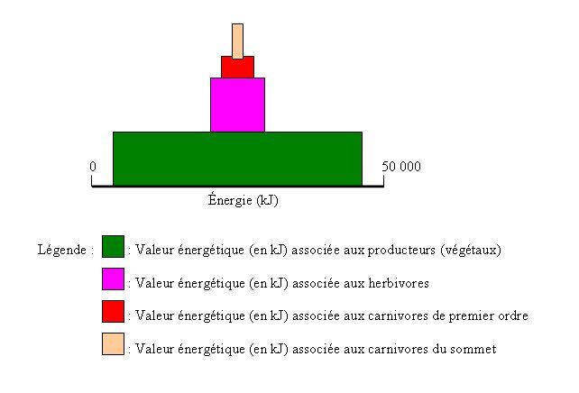 Pyramide