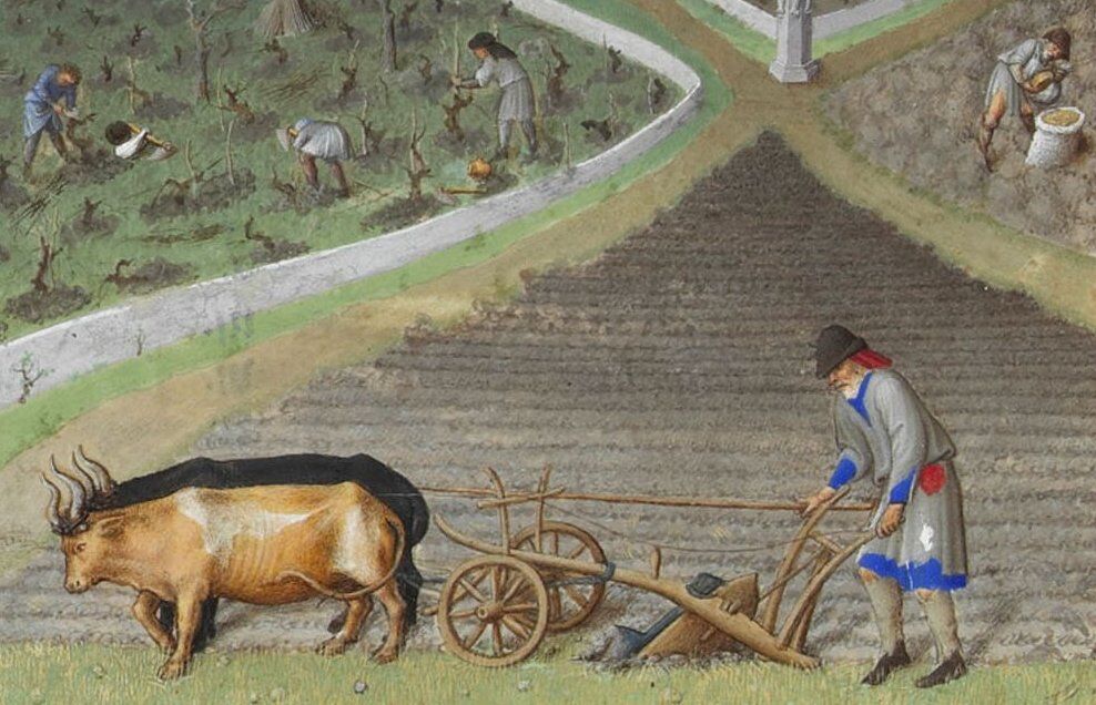 ​​​​La charrue à roues avec soc de métal