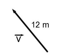 Vector v with a magnitude of 12m.