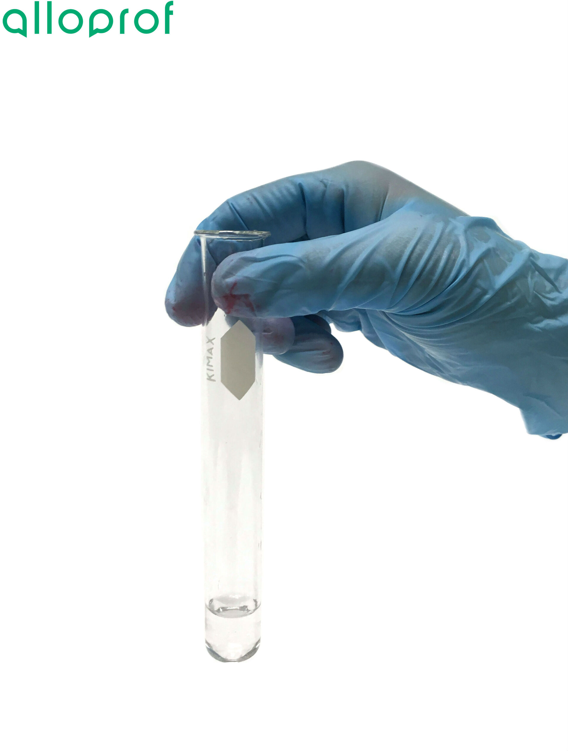 L'identification des substances nutritives | Alloprof