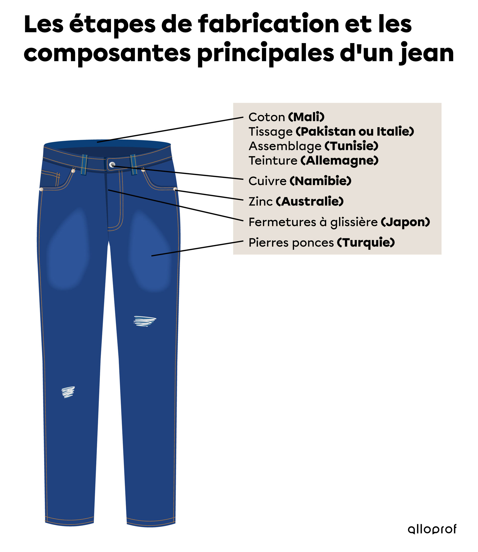 Les étapes de fabrication et les composantes principales d’un jean.