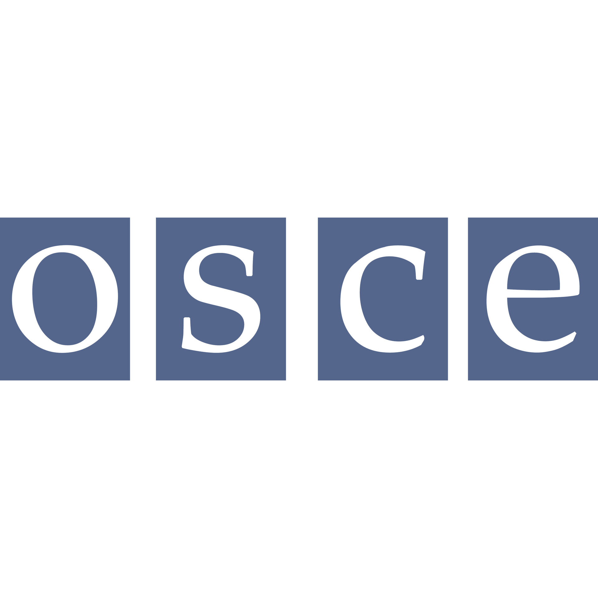 Organization for Security and Co-operation in Europe (OSCE) Logo