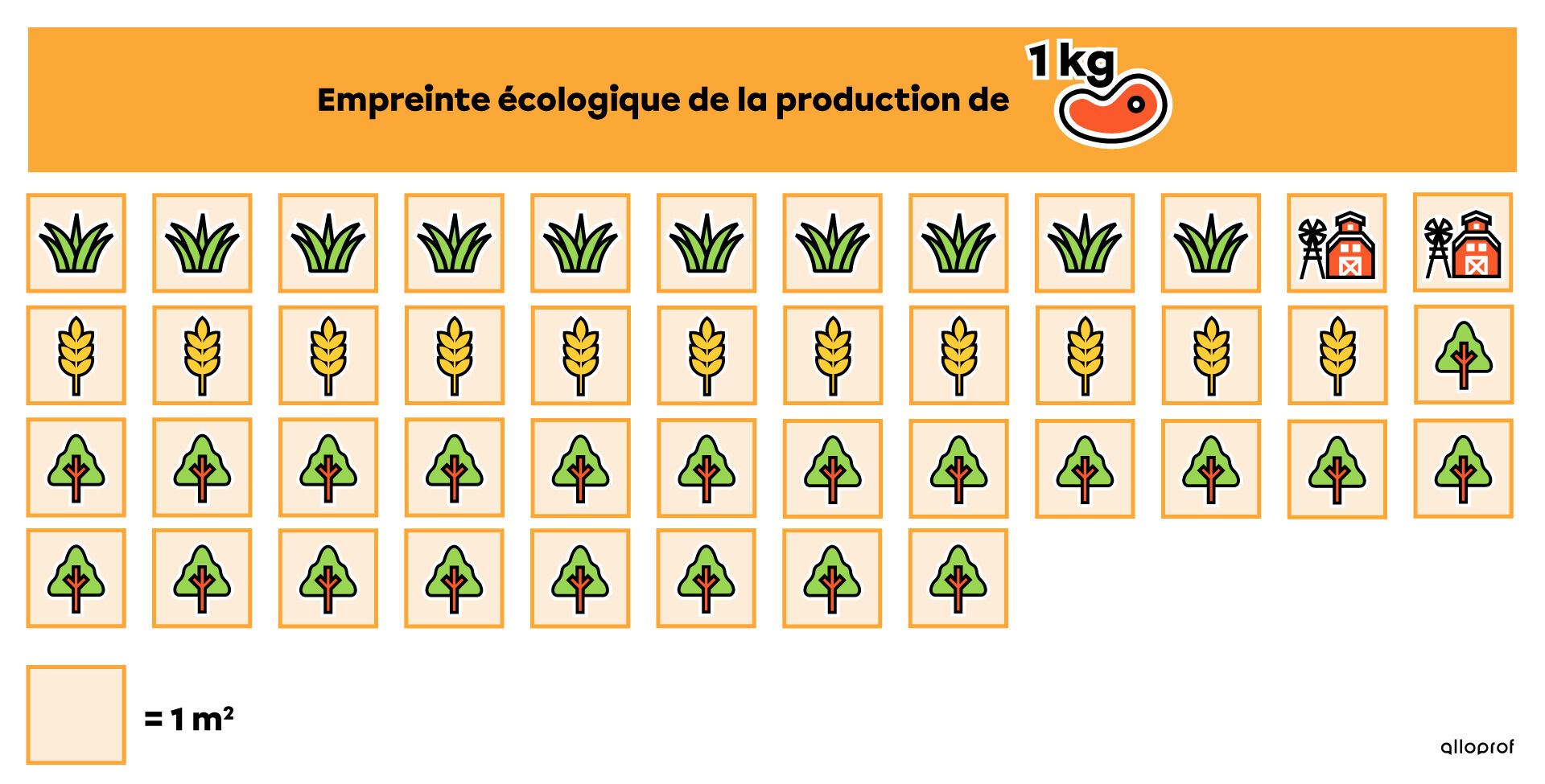 Illustration de l'empreinte écologique de la production d'un kilogramme de viande rouge selon les surfaces utilisées.