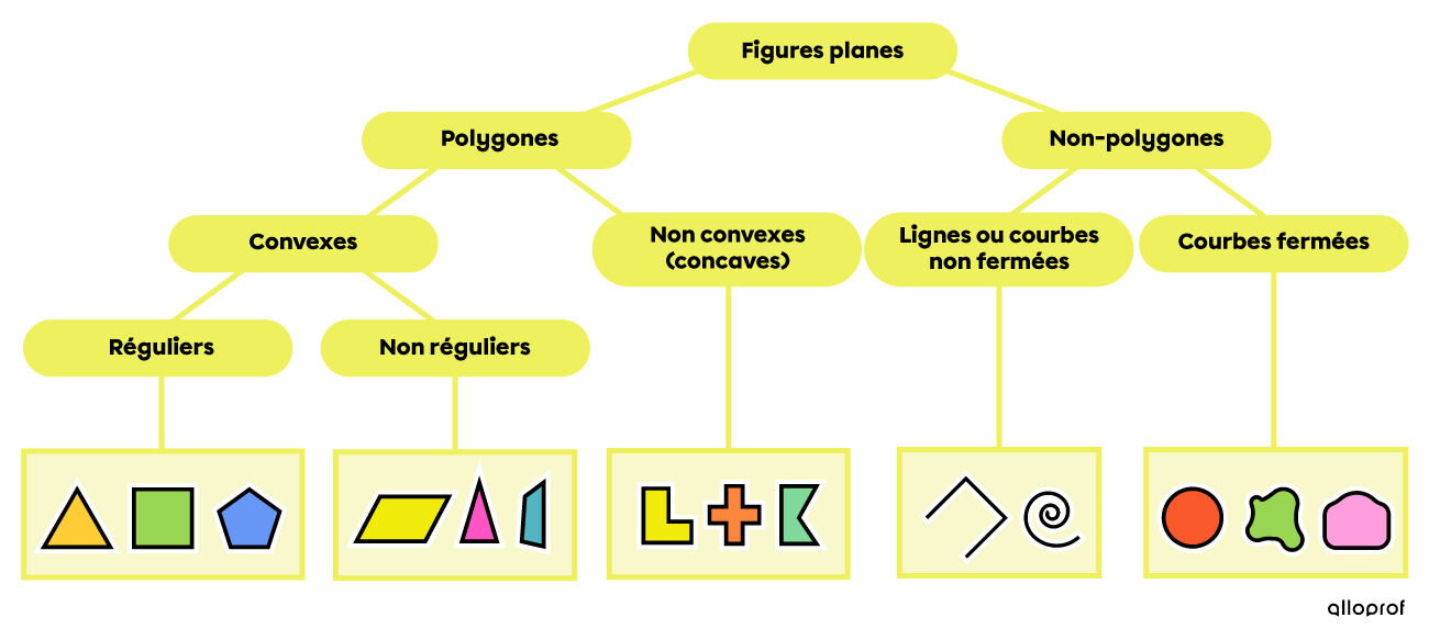 Ce schéma présente les différentes familles de figures planes incluant les polygones concaves et convexes, réguliers ou non.