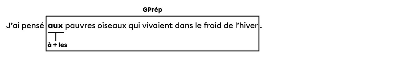 Dans la phrase « J'ai pensé aux pauvres oiseaux qui vivaient dans le froid de l'hiver. », le déterminant contracté « aux » est formé de la préposition « à » et du déterminant « les », et il introduit le groupe prépositionnel « aux oiseaux qui vivaient dans le froid de l’hiver».