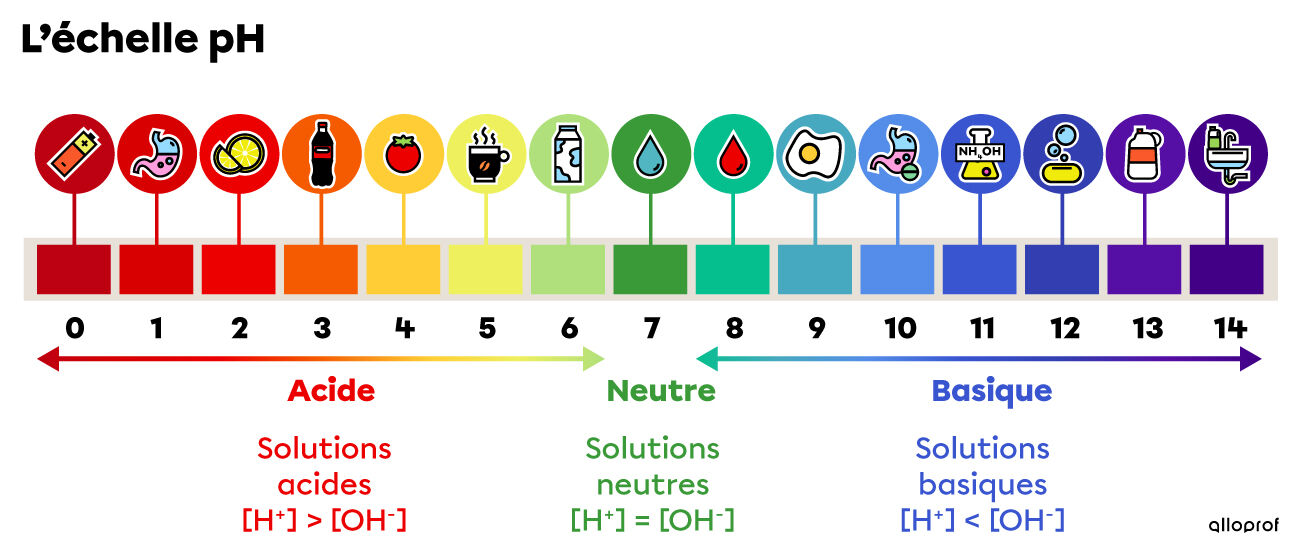 Échelle pH avec plusieurs exemples