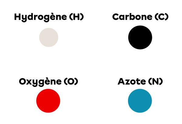 Charte d'identification de l'hydrogène, du carbone, de l'azote et de l'oxygène selon le modèle atomique de Dalton