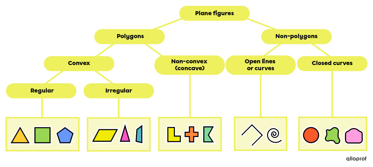This diagram shows the different families of plane figures, including convex and non-convex (concave) polygons, as well as regular and irregular polygons