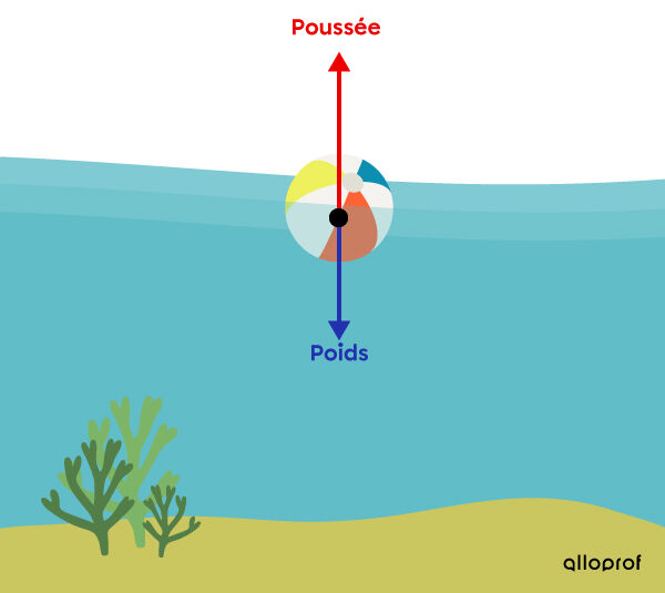 La répartition de la force gravitationnelle et de la force de poussée sur un objet qui flotte