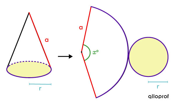 Net of a cone to visualise the sector of a circle formed by the lateral area