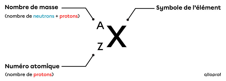 La notation A/Z met en évidence le nombre de masse (A), le numéro atomique (Z) et le symbole de l’élément (X). Elle permet donc de connaitre le nombre de protons, de neutrons et d’électrons de cet élément.