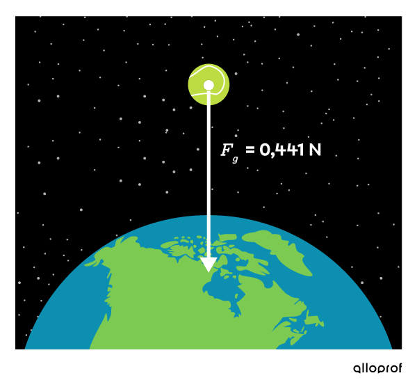 Le poids d’une balle de tennis sur la Terre est représenté par une flèche vers le bas