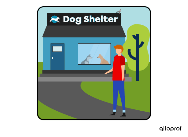 A person visited a dog shelter.