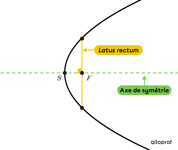 Le latus rectum dans une parabole horizontale
