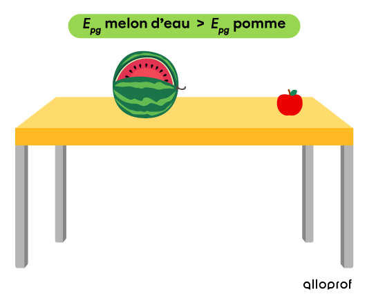 L’énergie potentielle gravitationnelle du melon d’eau est plus élevée que celle de la pomme.