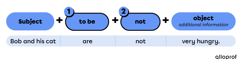 Simple present negative form with to be.