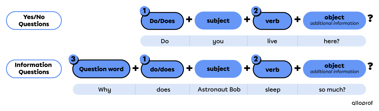 Questions form with other verbs.
