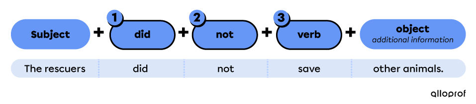 simple past negative form with other verbs