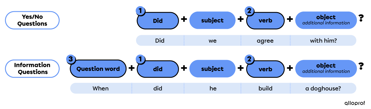Simple past question forms with other verbs