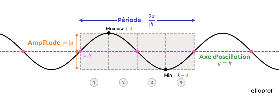 La période, l’axe d’oscillation, les points d’inflexion et l’amplitude d’une fonction sinus