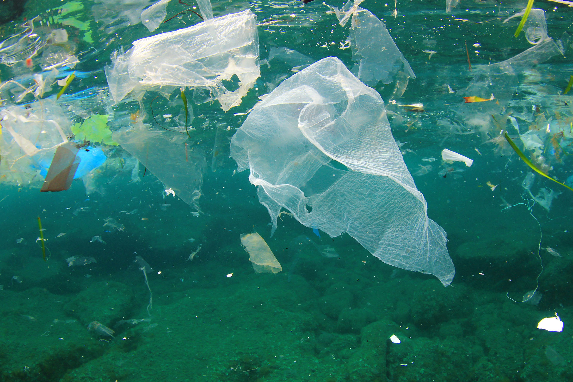 Water Pollution From Plastic Waste