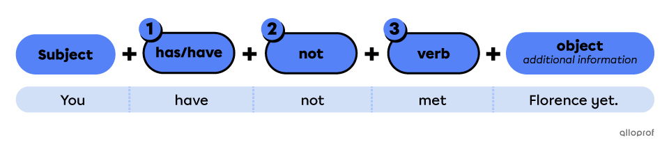 Present perfect negative form