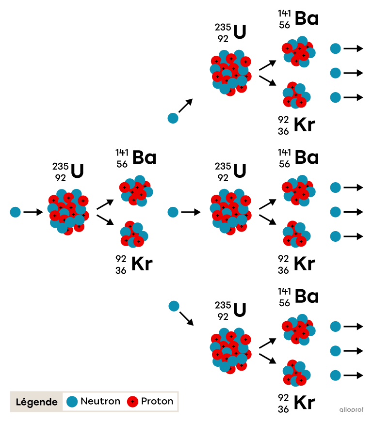 La fission de l’uranium 236 libère des neutrons qui assurent une réaction en chaine des autres atomes d’uranium.