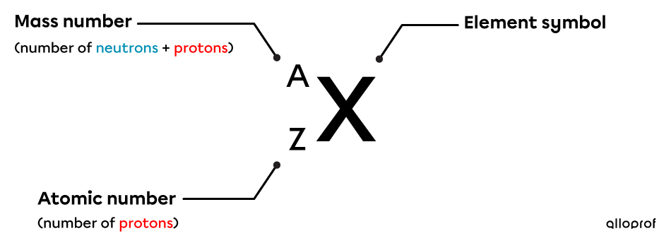 A/Z notation highlights the mass number (A), the atomic number (Z), and the element symbol (X). It, therefore, allows us to know the number of protons, neutrons, and electrons of an element.