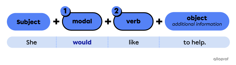 Structure of an affirmative sentence with a modal verb.