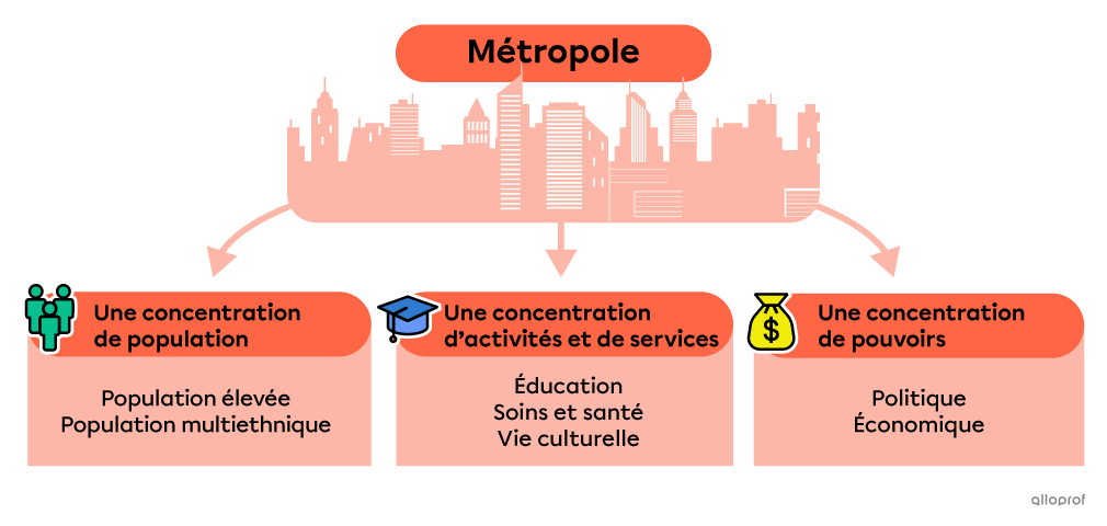 Les caractéristiques d’une métropole