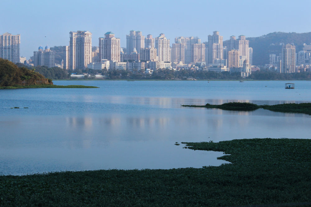 Powai Lake in Mumbai.