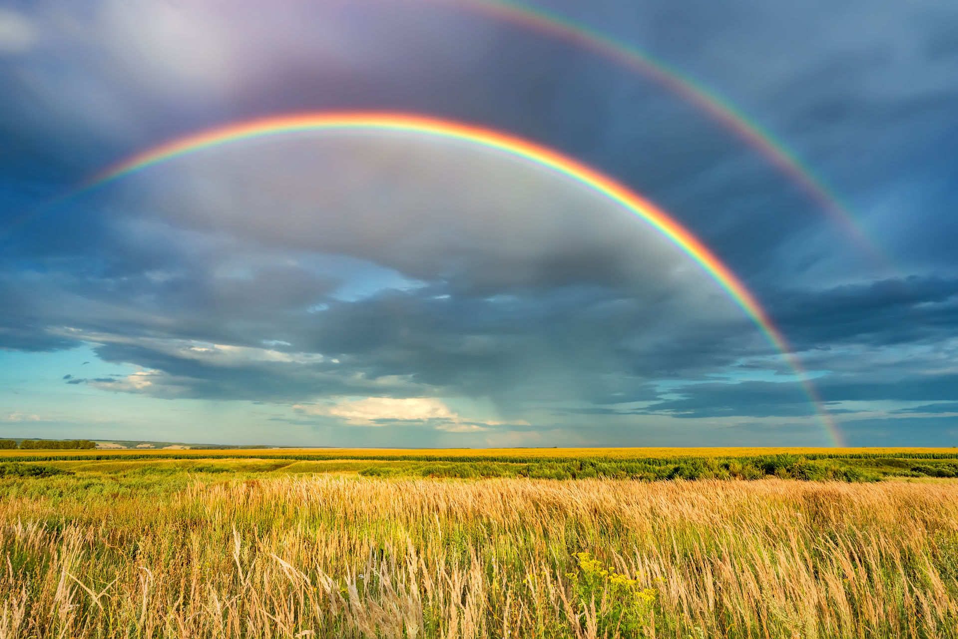 A rainbow is an example of light dispersion in water droplets.