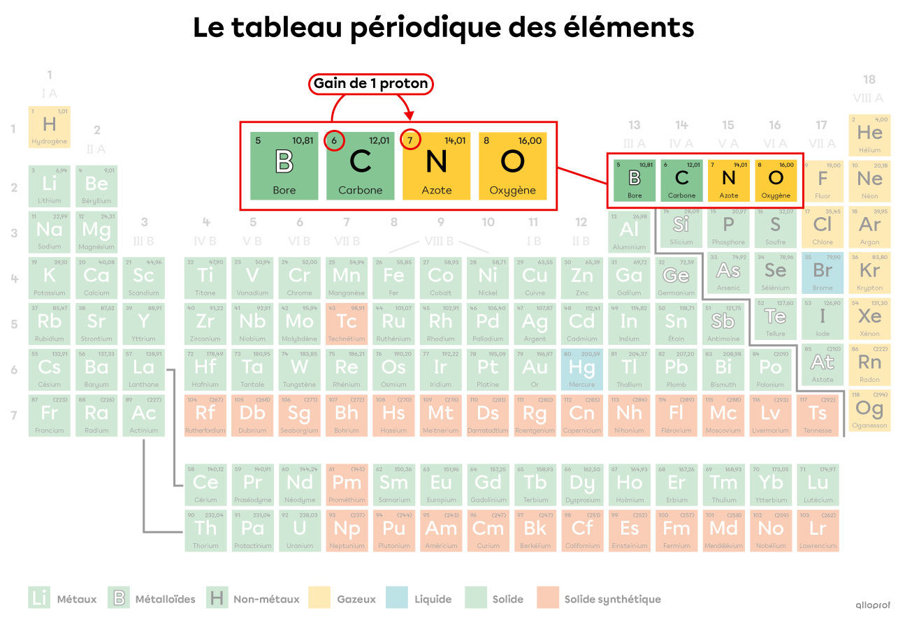 La désintégration du noyau de carbone (C) en noyau d’azote (N) par rayonnement 𝛽