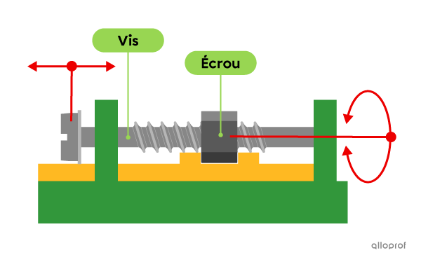 L’écrou (organe menant) effectue une rotation sur la vis (organe mené), qui se déplace en translation rectiligne.