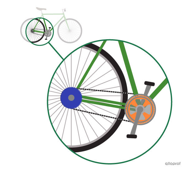 The chain and sprocket system transmits motion between the pedals and the freewheel (rear).