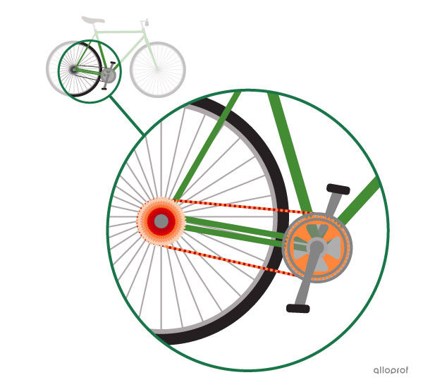 The chain and wheel gear system is the intermediate component, because it transmits motion from the pedals to the rear wheel.