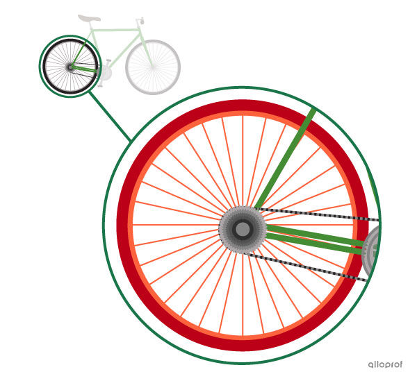 The rear wheel is the driven component. It is set in motion by the force exerted on the pedals.