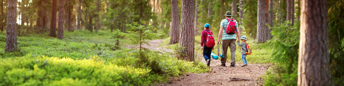 People walking in a forest.