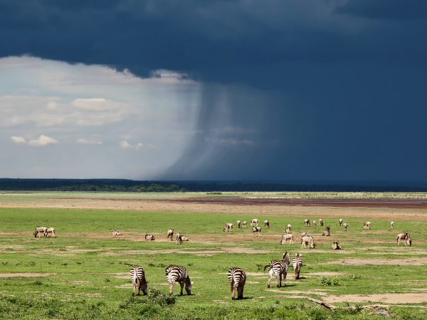 La savane durant la saison humide