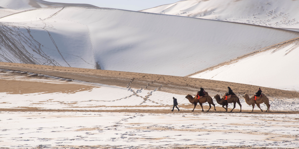 Le désert de Gobi