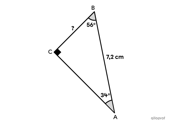On cherche la mesure de la cathète opposée à un angle dans un triangle rectangle à l’aide du rapport sinus.