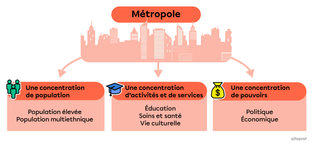 Les caractéristiques d’une métropole