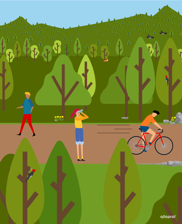 Le rôle social et culturel de la forêt