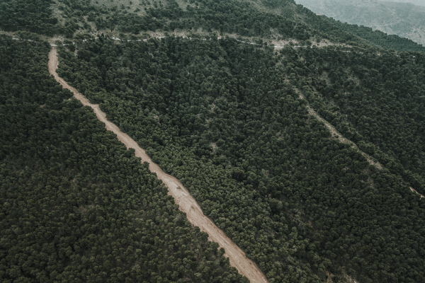 A logging Road.